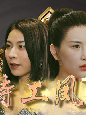 Đặc Công Phượng Hoàng - 特工凤凰